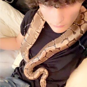 Meet your Posher, Caleb